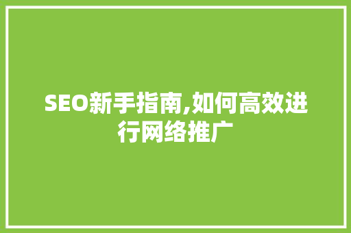 SEO新手指南,如何高效进行网络推广