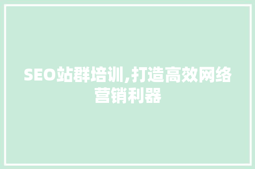 SEO站群培训,打造高效网络营销利器