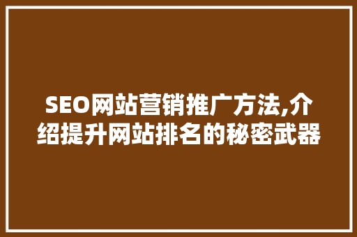 SEO网站营销推广方法,介绍提升网站排名的秘密武器