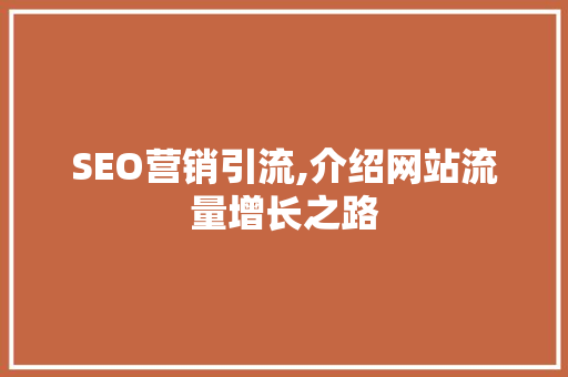 SEO营销引流,介绍网站流量增长之路