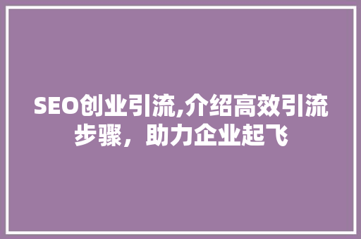 SEO创业引流,介绍高效引流步骤，助力企业起飞