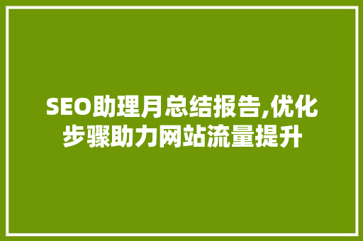 SEO助理月总结报告,优化步骤助力网站流量提升