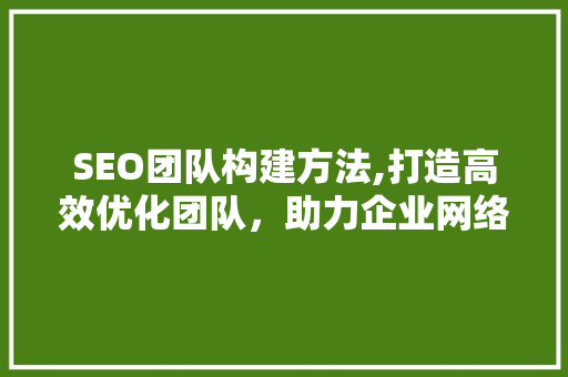 SEO团队构建方法,打造高效优化团队，助力企业网络营销