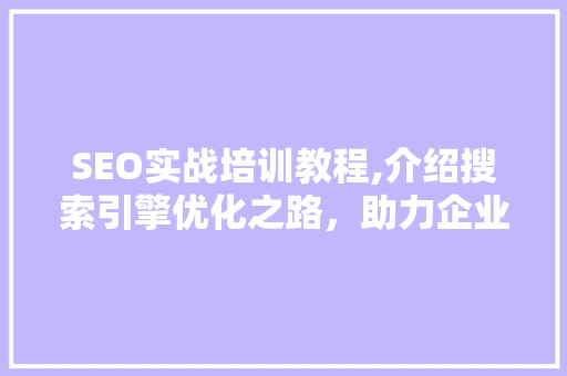 SEO实战培训教程,介绍搜索引擎优化之路，助力企业网站提升排名